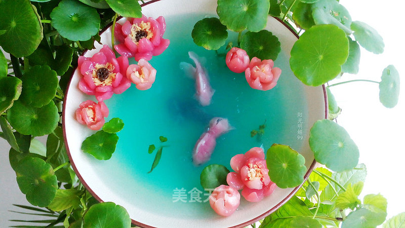 Fish Play Summer Lotus