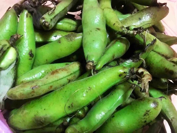 Fried Ham with Broad Beans recipe