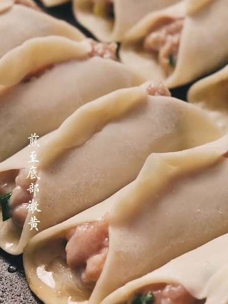 Fresh Meat Pot Stickers recipe