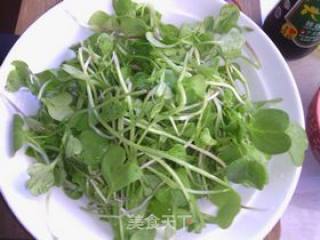 Radish Sprouts Salad recipe