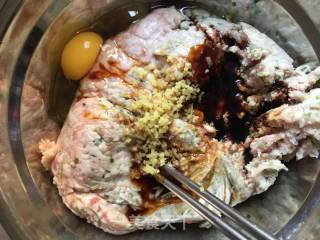 Fresh Meat Wonton recipe