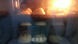 Low-oil and Low-sugar Red Bean Paste Buns (with Red Bean Paste) recipe