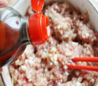 Beef Yuan Scallion Pie recipe