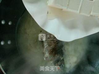 Crucian Tofu Soup recipe