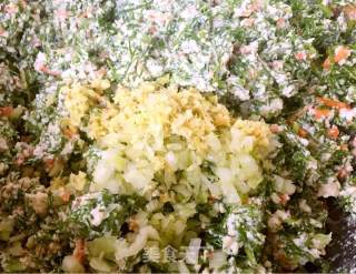 Fennel Flavor Pearl Pills recipe