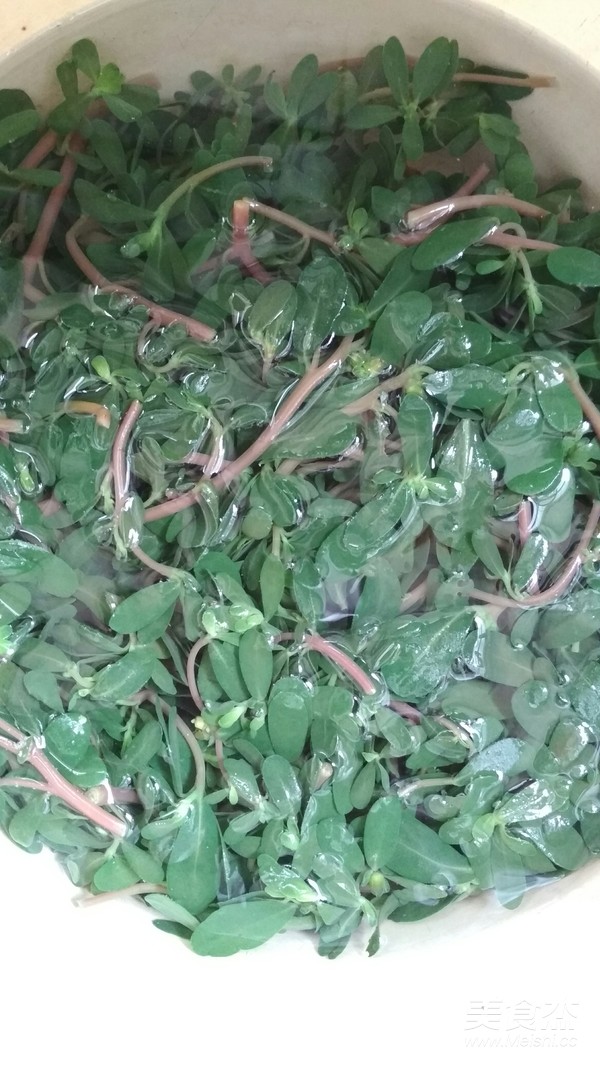 Garlic Purslane recipe