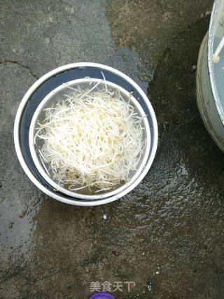 Stir-fried Mung Bean Sprouts recipe