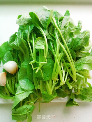 Stir-fried Radish Seedlings recipe