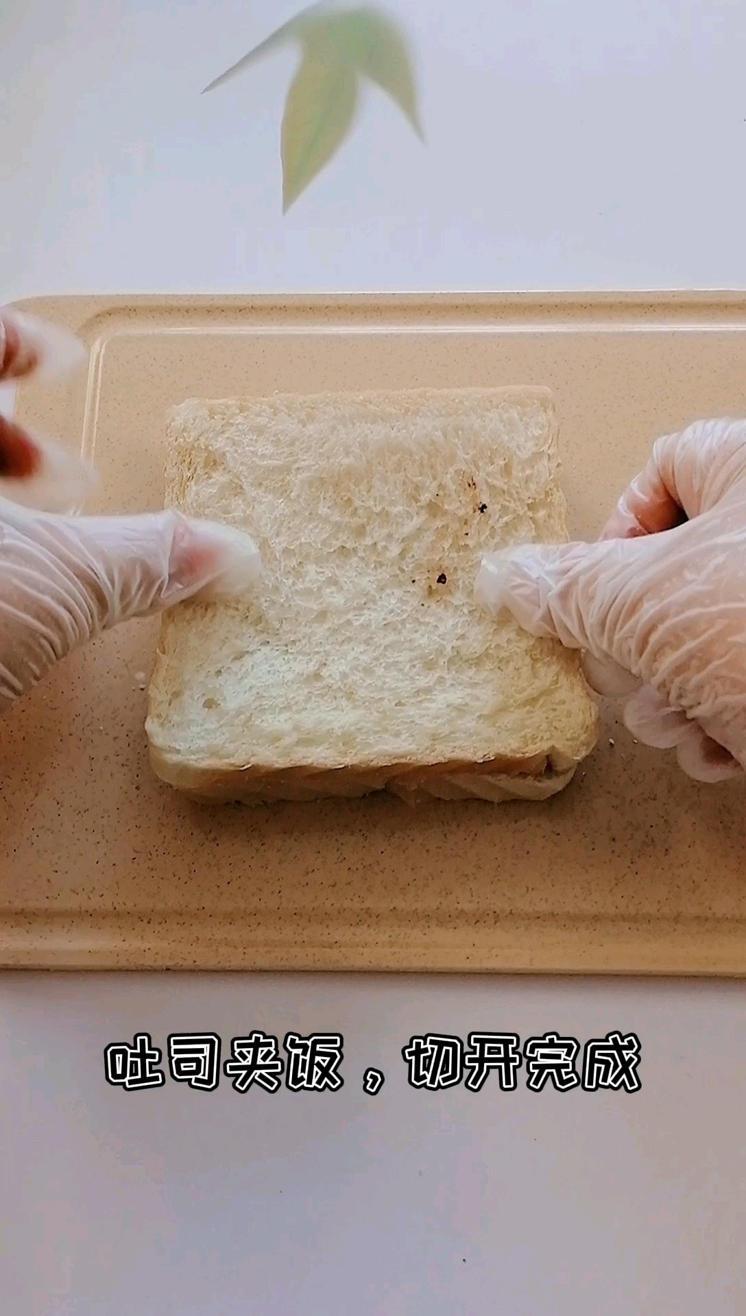 Black Rice Toast Clip recipe