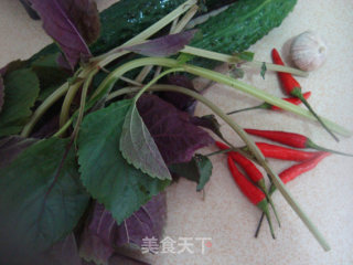 Stir-fried Cucumber with Basil recipe