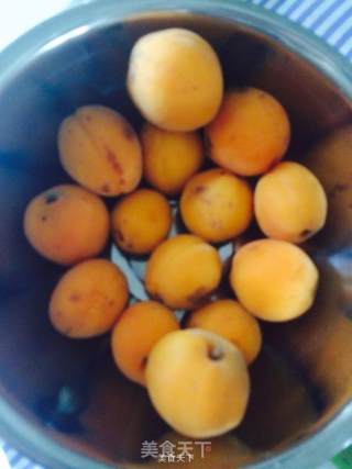 Canned Apricots Vs Syrup recipe