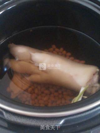 Peanut Soy Trotter Soup recipe