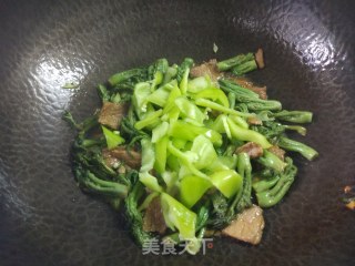 Northeast Wild Mountain Delicacy ~ Stir-fried Pork with Old Shoot recipe