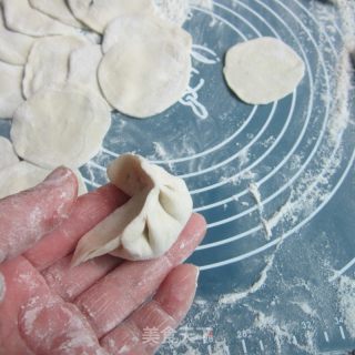 Fungus Pork Dumplings recipe