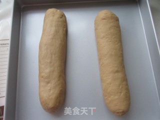 Whole Wheat Brown Sugar Soft European Buns recipe