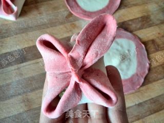 Sixi Dumplings recipe