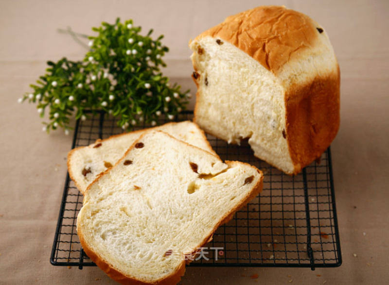 How to Make Bread with A Bread Machine (raisin Toast) recipe