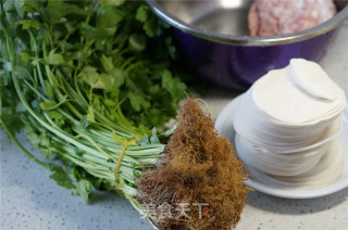#春食野菜香# Fried Dumplings with Wild Parsley recipe
