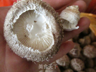 Dried Shiitake Mushrooms recipe