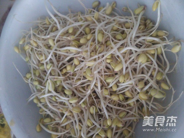 Vegetarian Fried Bean Sprouts recipe