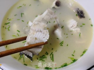 Black Fish Soup recipe