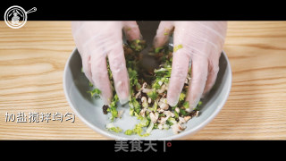 Vegetarian Spring Rolls recipe