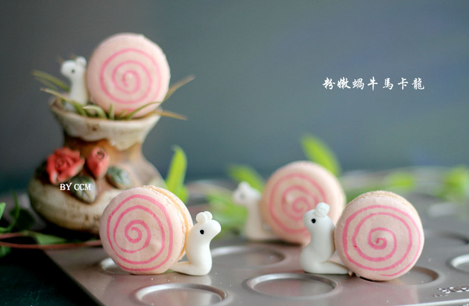 Pink Snail Macaron recipe
