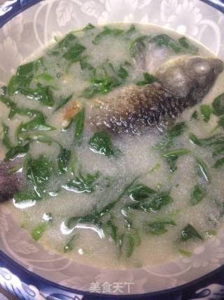 Lycium Barbarum Leaf Crucian Fish Soup recipe