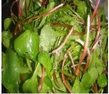 Radish Seedlings in Olive Oil recipe