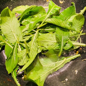 Wild Vegetables ❤️ Scrambled Eggs with Evening Primrose recipe