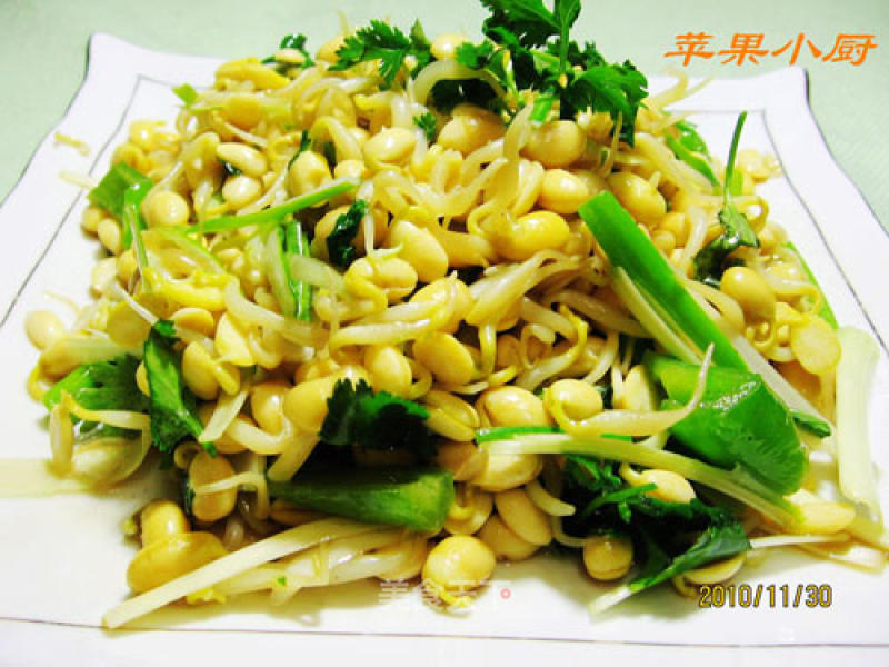 Spicy Bean Sprouts recipe