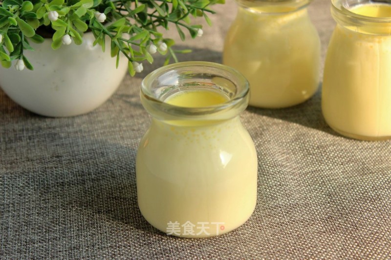 Milk and Egg Pudding recipe