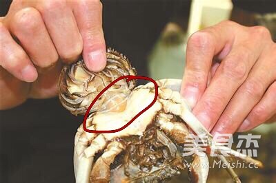 Steamed Crabs (with Tips for Picking Crabs) recipe