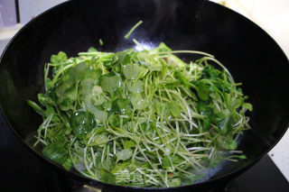 Fresh Green Radish Seedlings in Soup recipe