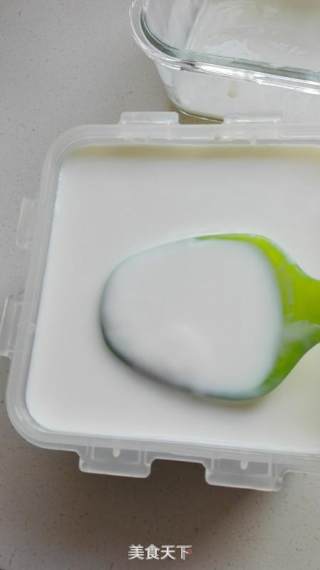 Homemade Greek Yogurt recipe