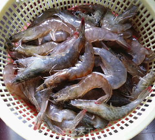 Brine Prawns recipe