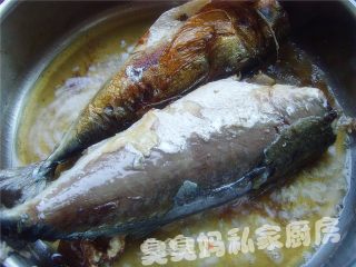 Spanish Mackerel in Tomato Sauce recipe