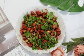 Old Vinegar Peanuts recipe