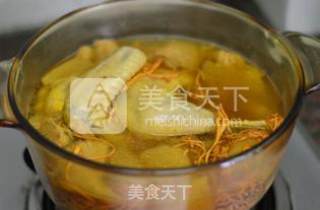 Monkey Mushroom and Cordyceps Chicken Soup recipe