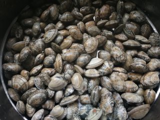 Steamed Clams recipe