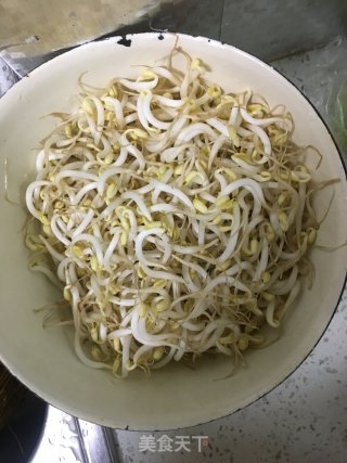 Stupid Bean Sprouts Fried Noodle recipe