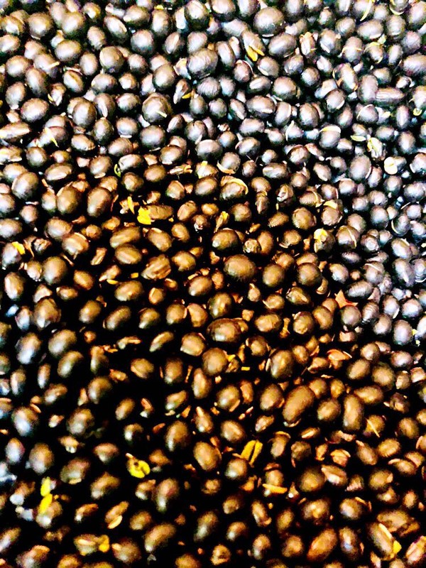 Nourishing Black Beans recipe