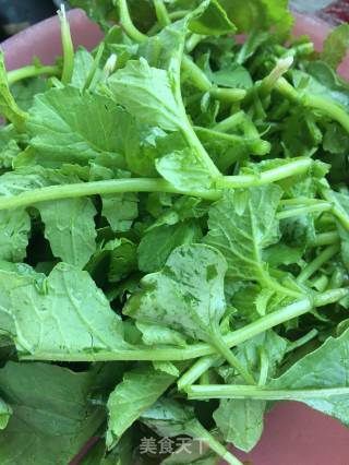 Sea Cucumber Salad with Radish Seedlings recipe