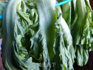 Pickled Sauerkraut recipe