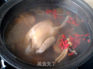 Stewed Pigeon with Shenqi Monkey Mushroom recipe