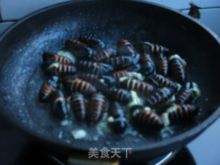 Fried Cocoon Pupae with Chives recipe