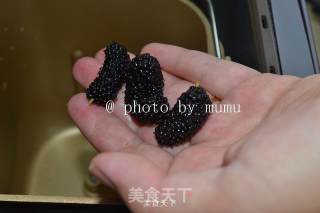 Making Mulberry Jam with Bread Machine recipe