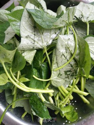 Garlic Sweet Potato Leaves recipe