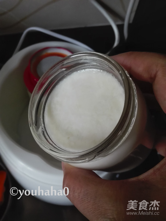 Coconut Yogurt recipe