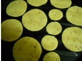 Egg-flavored Sesame-sweet Crispy recipe